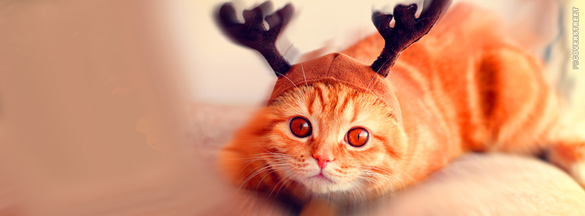 Cat Reindeer Antlers Christmas Holiday  Facebook Cover