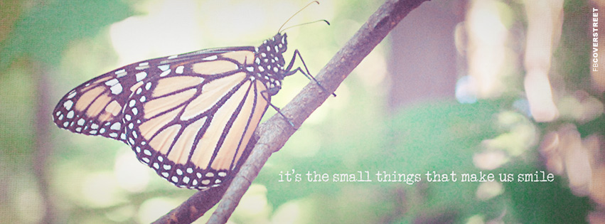 The Small Things Make Us Smile Quote  Facebook Cover