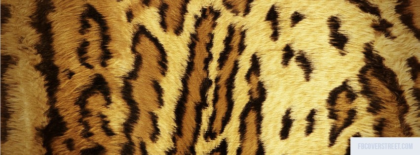 Cheetah Print 1 Facebook cover