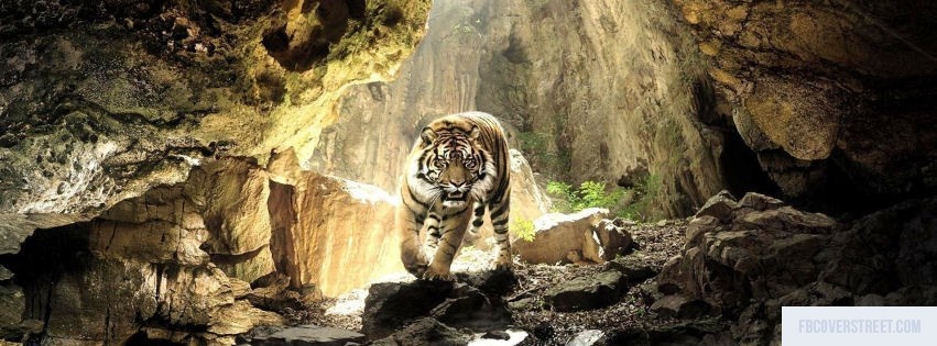 Tiger 2 Facebook cover