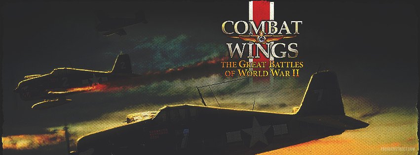 Combat Wings 2 Facebook cover