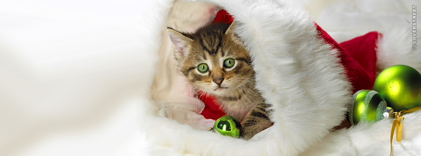 Kitten In a Santa Hat Christmas Holiday  Facebook Cover