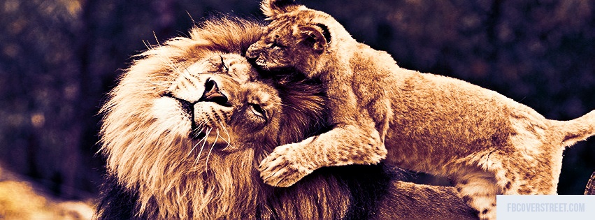 Lion and Cub Facebook cover