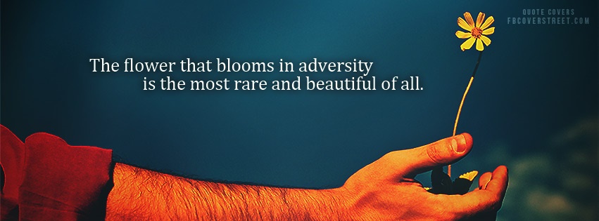 Flower Blooming In Adversity Facebook Cover
