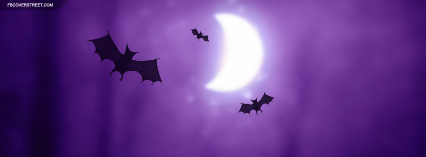 Bats Flying Over Moon Facebook cover