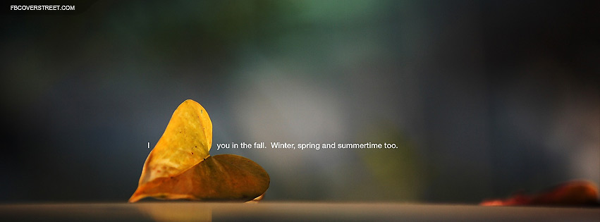 Love You In Fall Winter Spring And Summer Facebook Cover