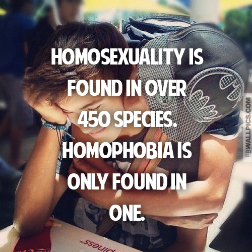 Homosexuality and Homophobia Gay Pride Quote Facebook picture