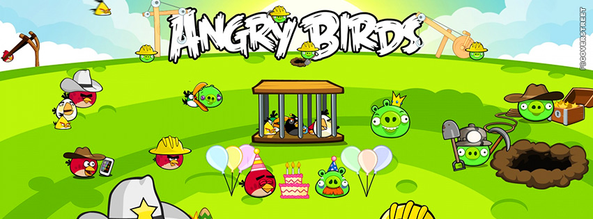 Angry Birds Scenery Party  Facebook Cover