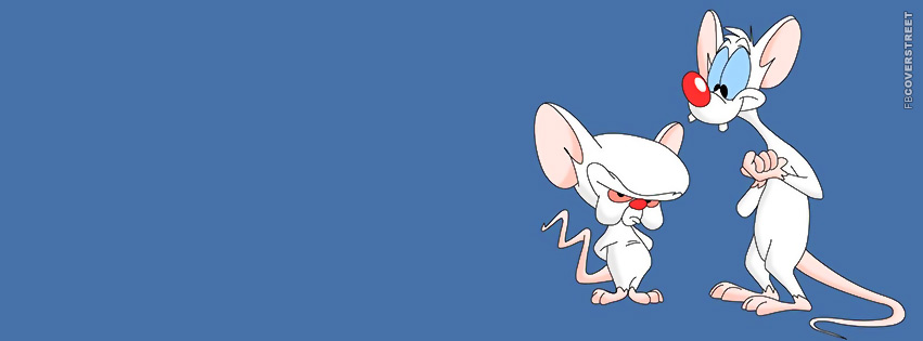 Pinky and The Brain Cartoon Facebook Cover