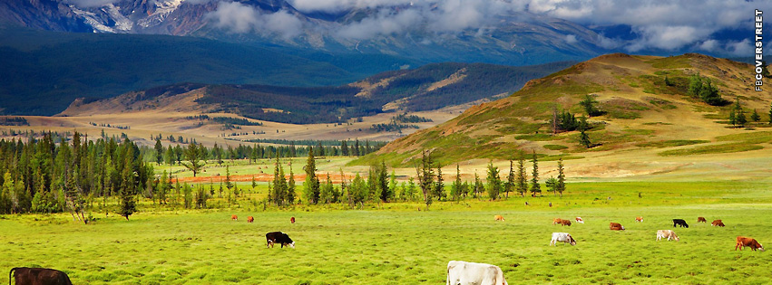 Cows Cattle Ranch Facebook Cover