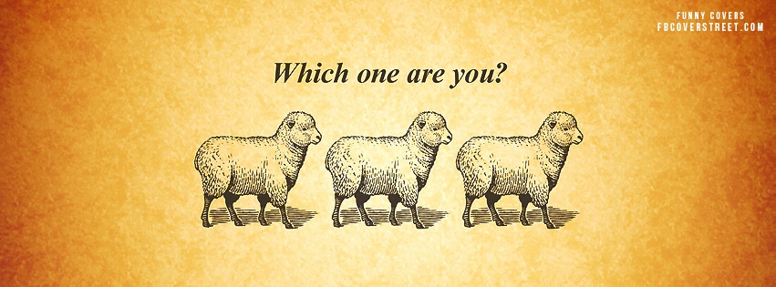 Which Sheep Are You Facebook cover