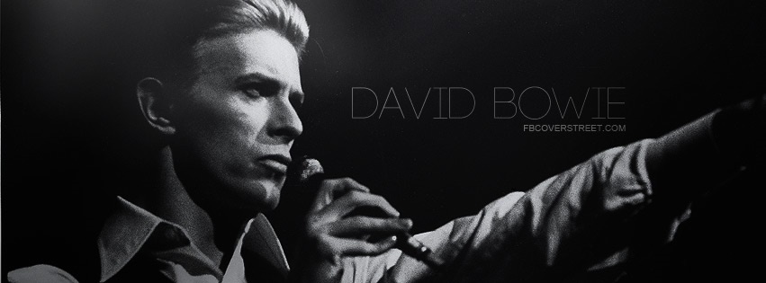 David Bowie 2 Facebook cover