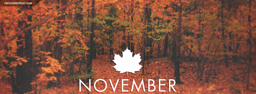 November Maple Leaf Forest Facebook cover