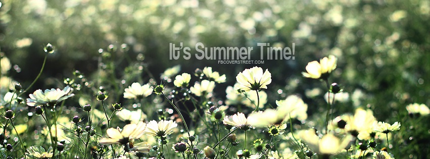 Its Summer Time Facebook cover