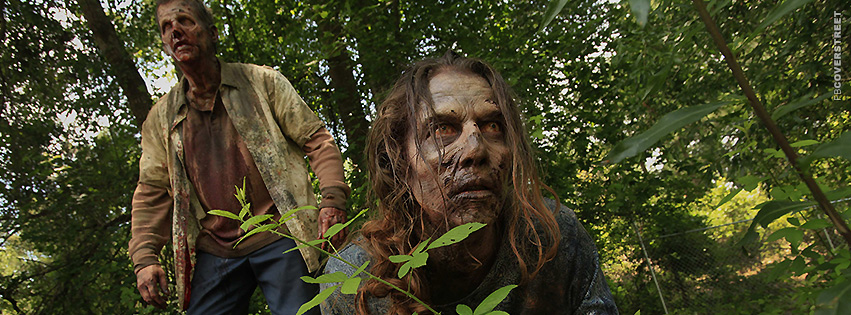 The Walking Dead Searching Zombies  Facebook Cover