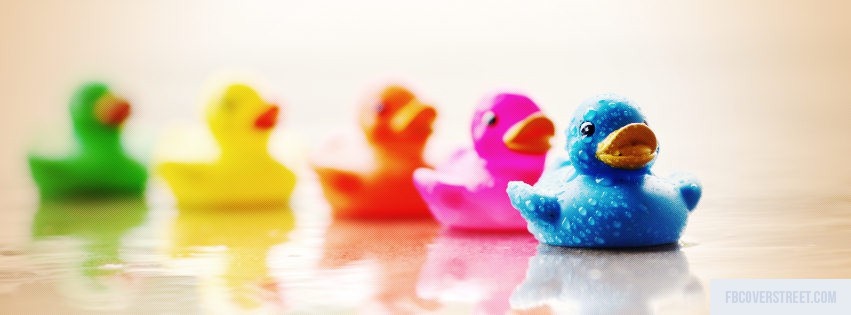 Colorful Ducks Facebook cover