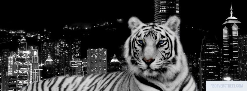White Tiger 1 Facebook cover