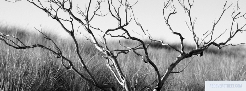 Tree 2 Black and White Facebook cover