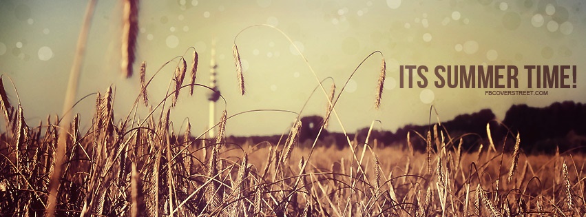 Its Summer Time Wheat Field Facebook cover