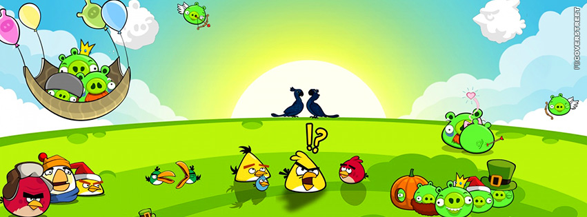 Angry Birds Party Scenery  Facebook Cover