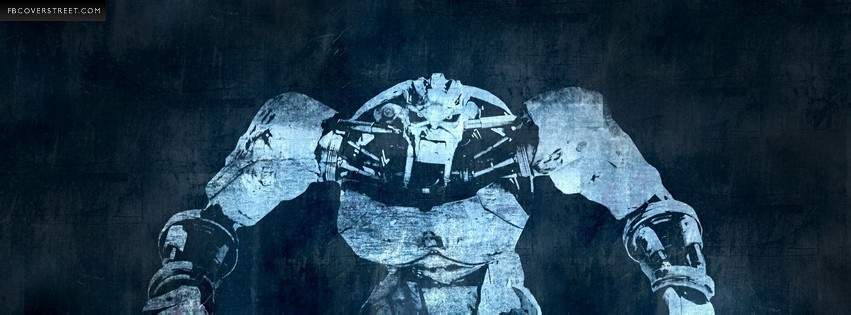 Real Steel Facebook cover