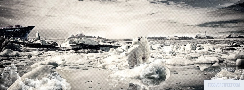 Polar Bear Ice Facebook cover