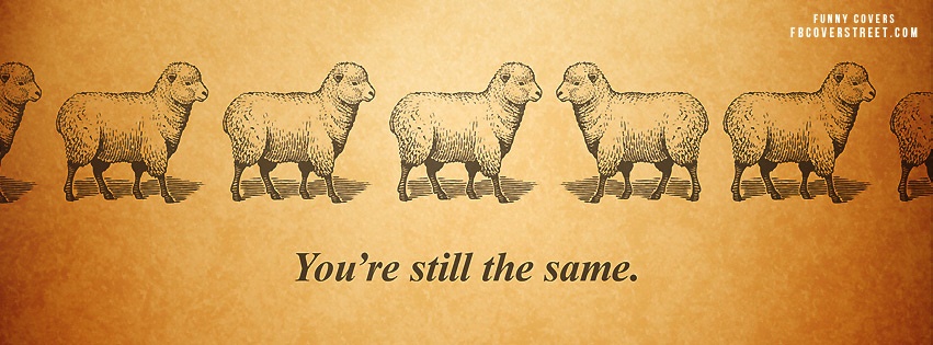 Youre Still The Same Sheep Facebook cover