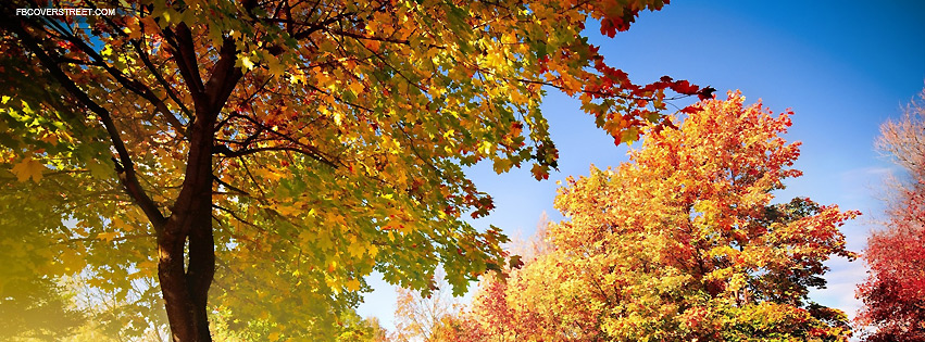 Fall Color Changing Leaves Facebook cover