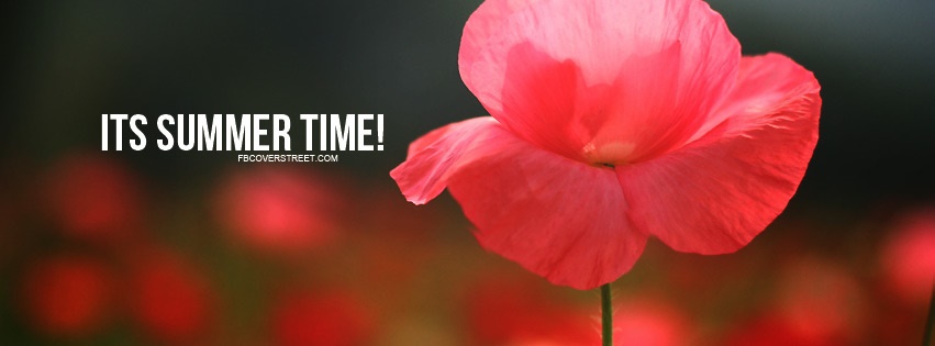 Its Summer Time Pink Flower Facebook cover