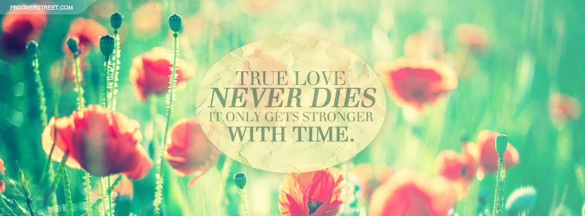 True Love Gets Stronger With Time Quote Facebook Cover