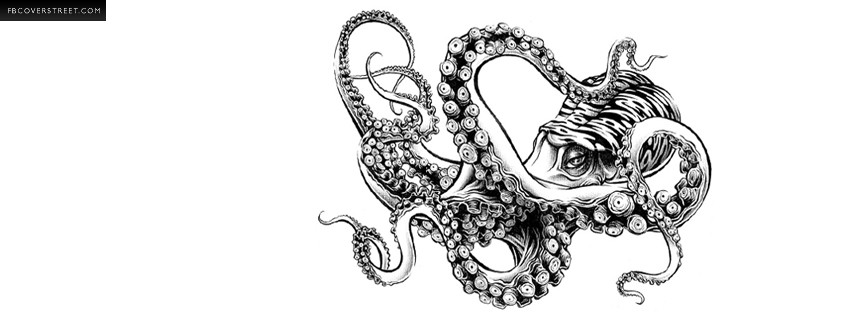 Artistic Octopus  Facebook cover
