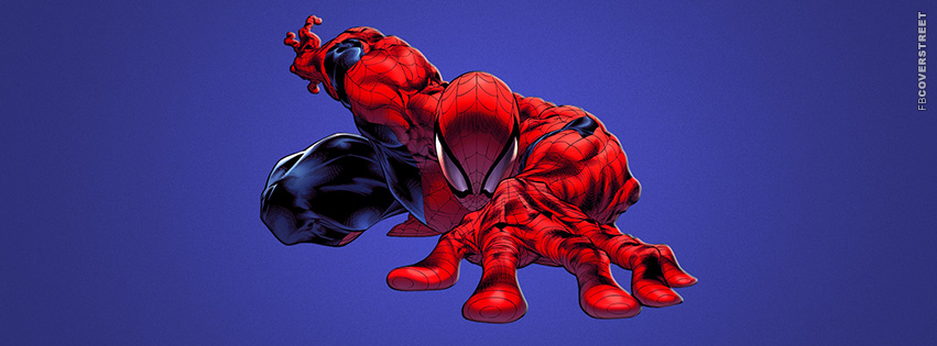 Spiderman Crawling Comic  Facebook Cover