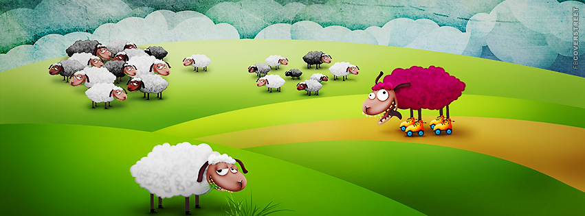 Crazy Sheep Artwork  Facebook Cover
