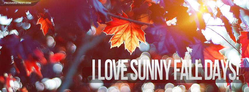 I Love Sunny Fall Days Facebook cover