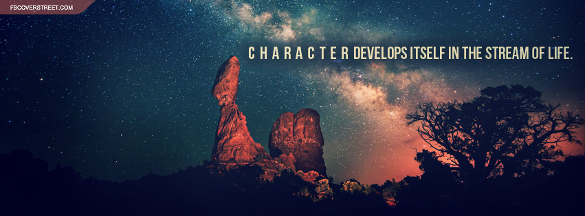 Character Develops Itself In The Stream of Life Quote Facebook cover