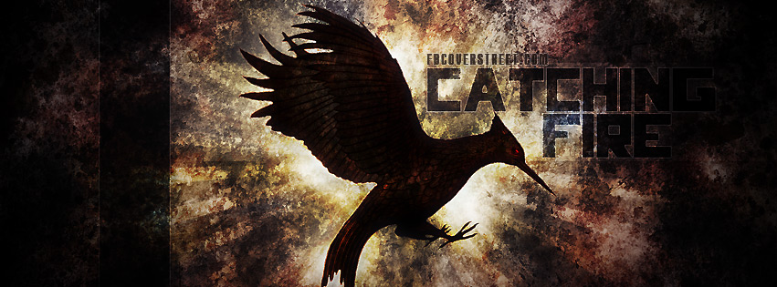 The Hunger Games Catching Fire 3 Facebook cover