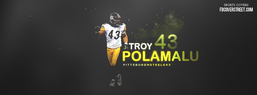 Troy Polamalu Pittsburgh Steelers 1 Facebook cover