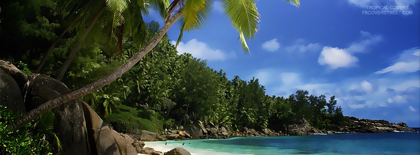 Seychelles Coconut Trees Beach Facebook Cover