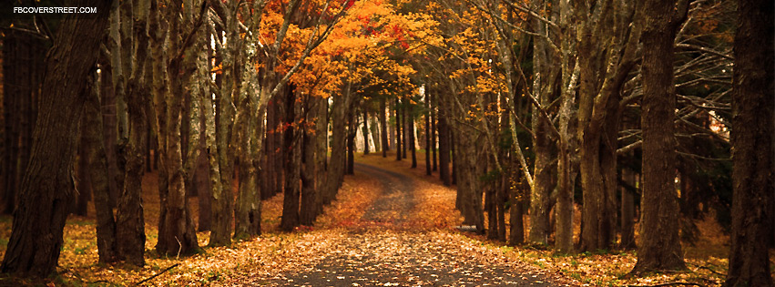 Pathway Through The Woods Facebook cover