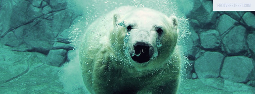 Swimming Polar Bear Facebook cover