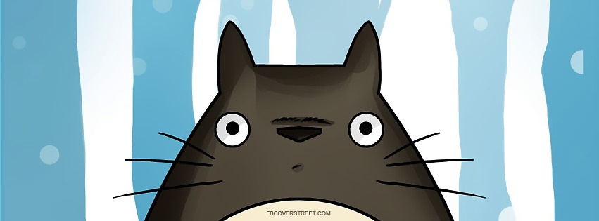 Totoro Facebook Cover