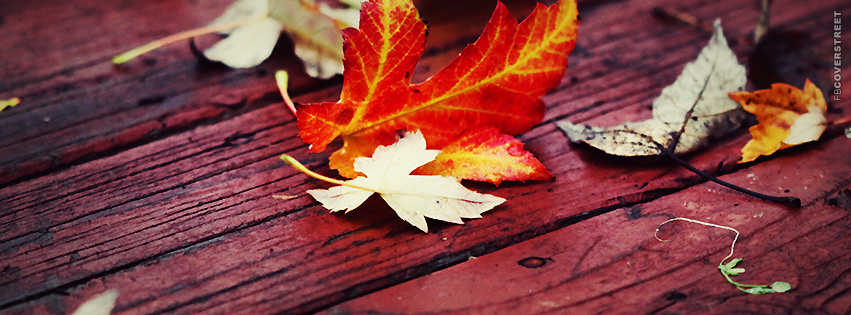 Leaves On a Deck  Facebook Cover