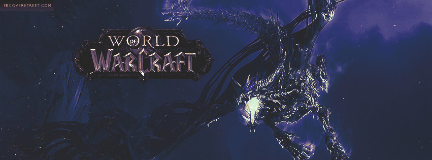 World of Warcraft Dragon Artwork Facebook cover