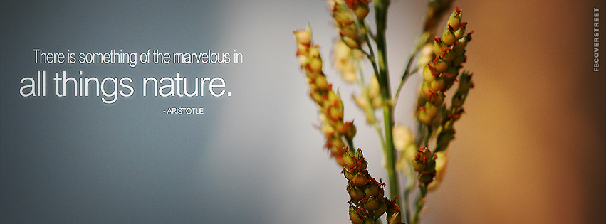 All Things Nature Aristotle Quote  Facebook cover