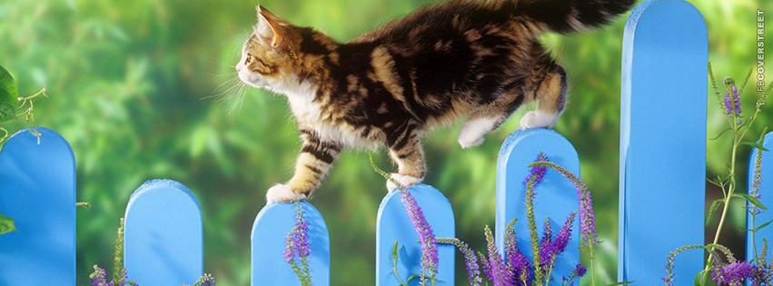 Kitten Walking On A Fence  Facebook Cover
