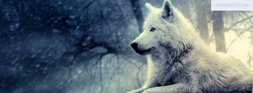 White Wolf Facebook cover