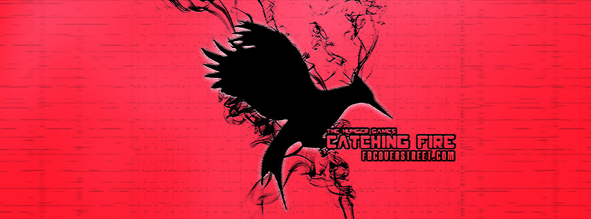 The Hunger Games Catching Fire 2 Facebook cover
