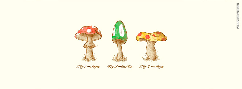 Know Your Mario Shrooms  Facebook Cover