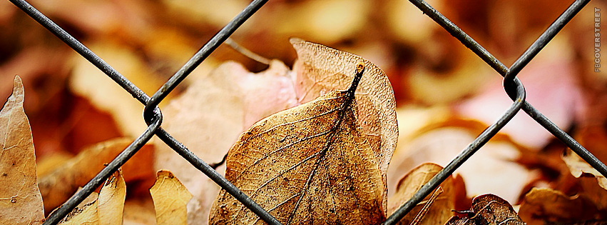 Leaves On The Fence  Facebook Cover