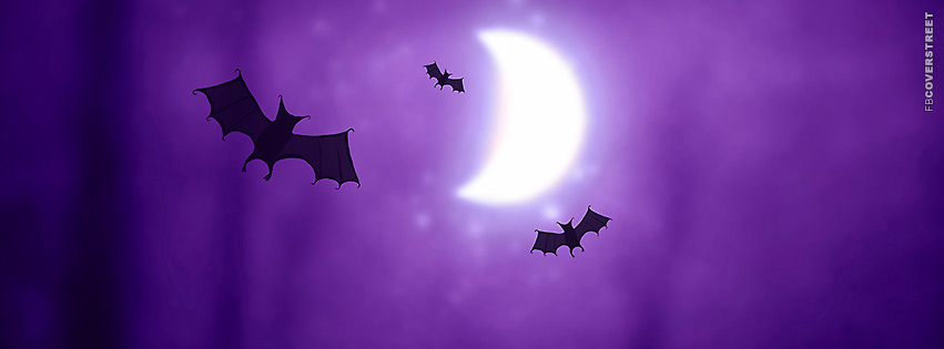 Flying Bats Artwork  Facebook Cover
